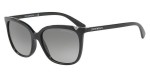  - Sluneční brýle Emporio Armani EA 4094 501711