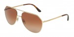  - Sluneční brýle Dolce & Gabbana DG 2191 02/13