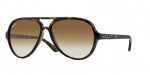  - Sluneční brýle Ray-Ban RB 4125 710/51 Cats 5000